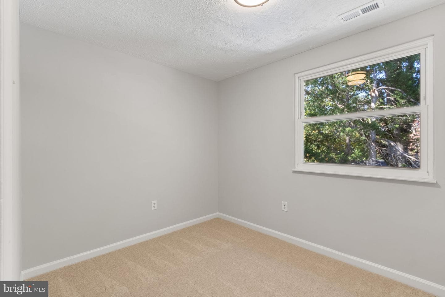11708 Eisenhower Lane photo 22