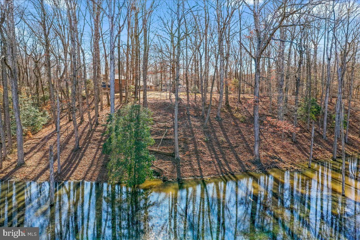 3903 Swanson Court photo 16