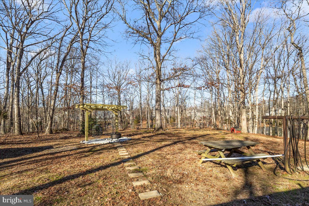 3903 Swanson Court photo 17