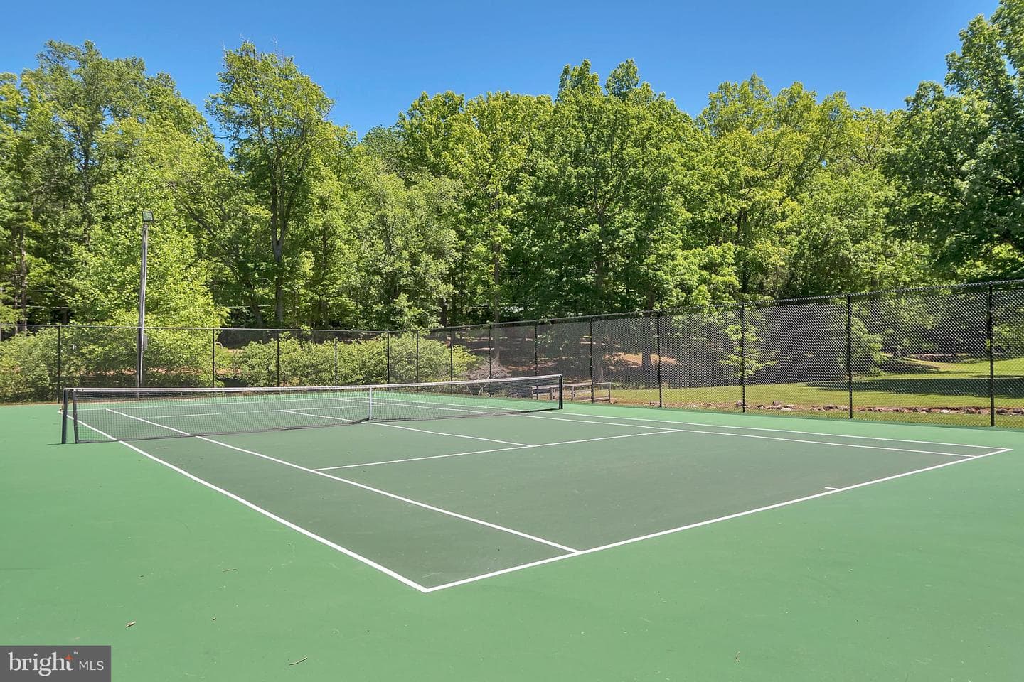 12503 Flock Court photo 44