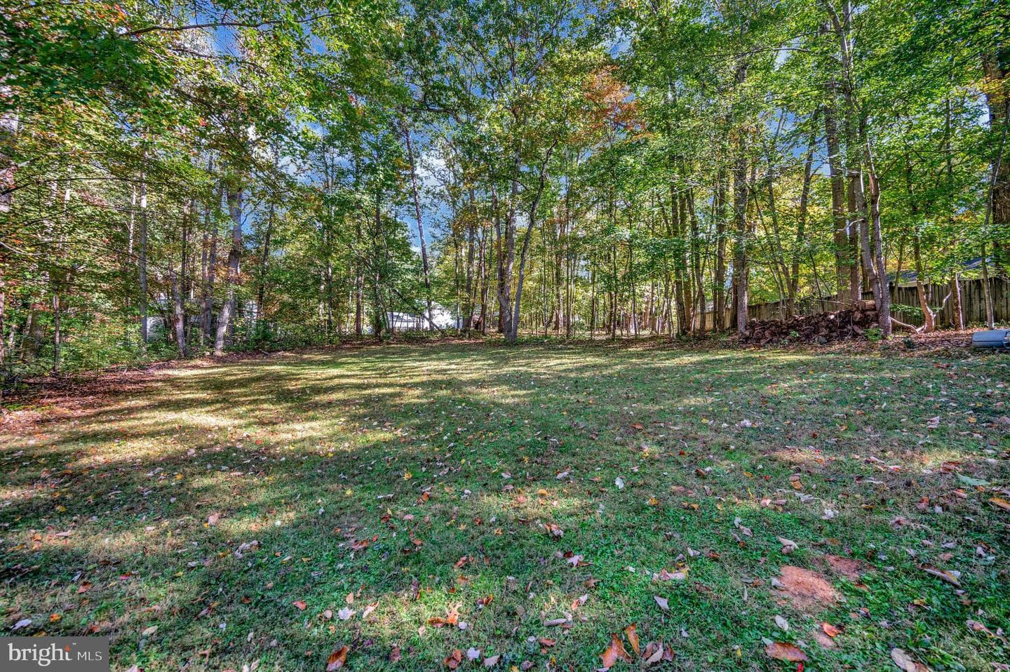 12503 Flock Court photo 46