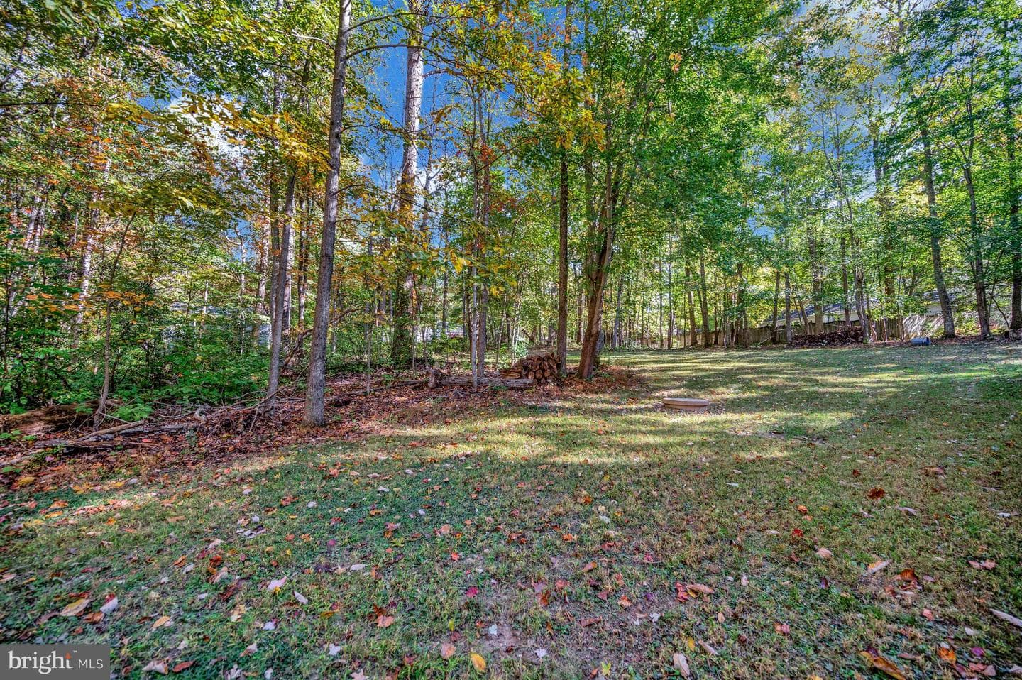 12503 Flock Court photo 8