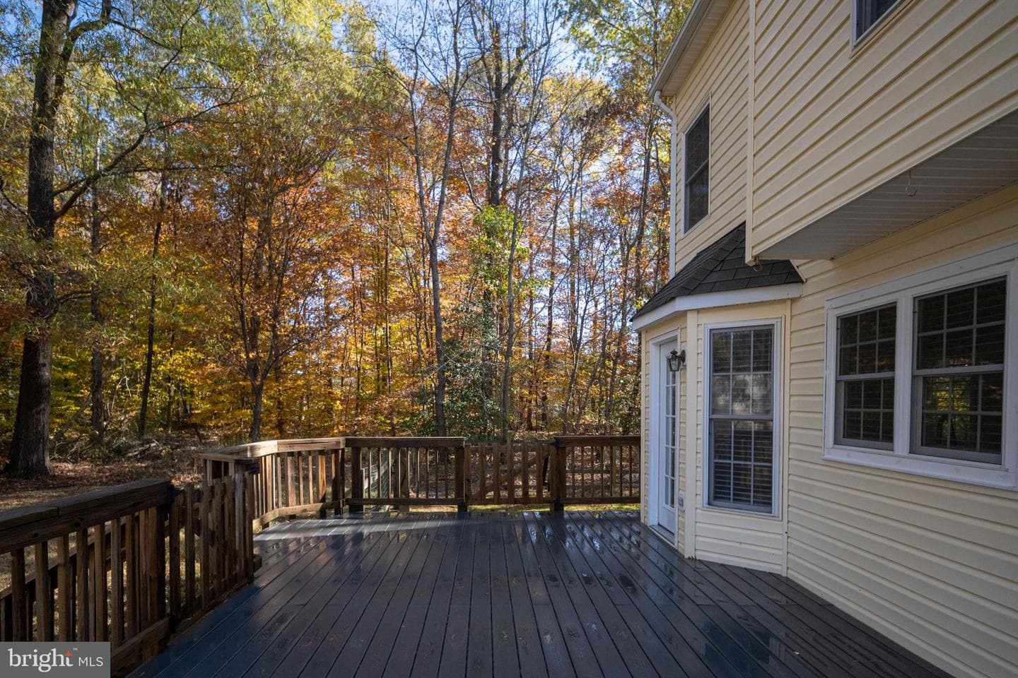 10127 Sharon Springs Drive photo 51