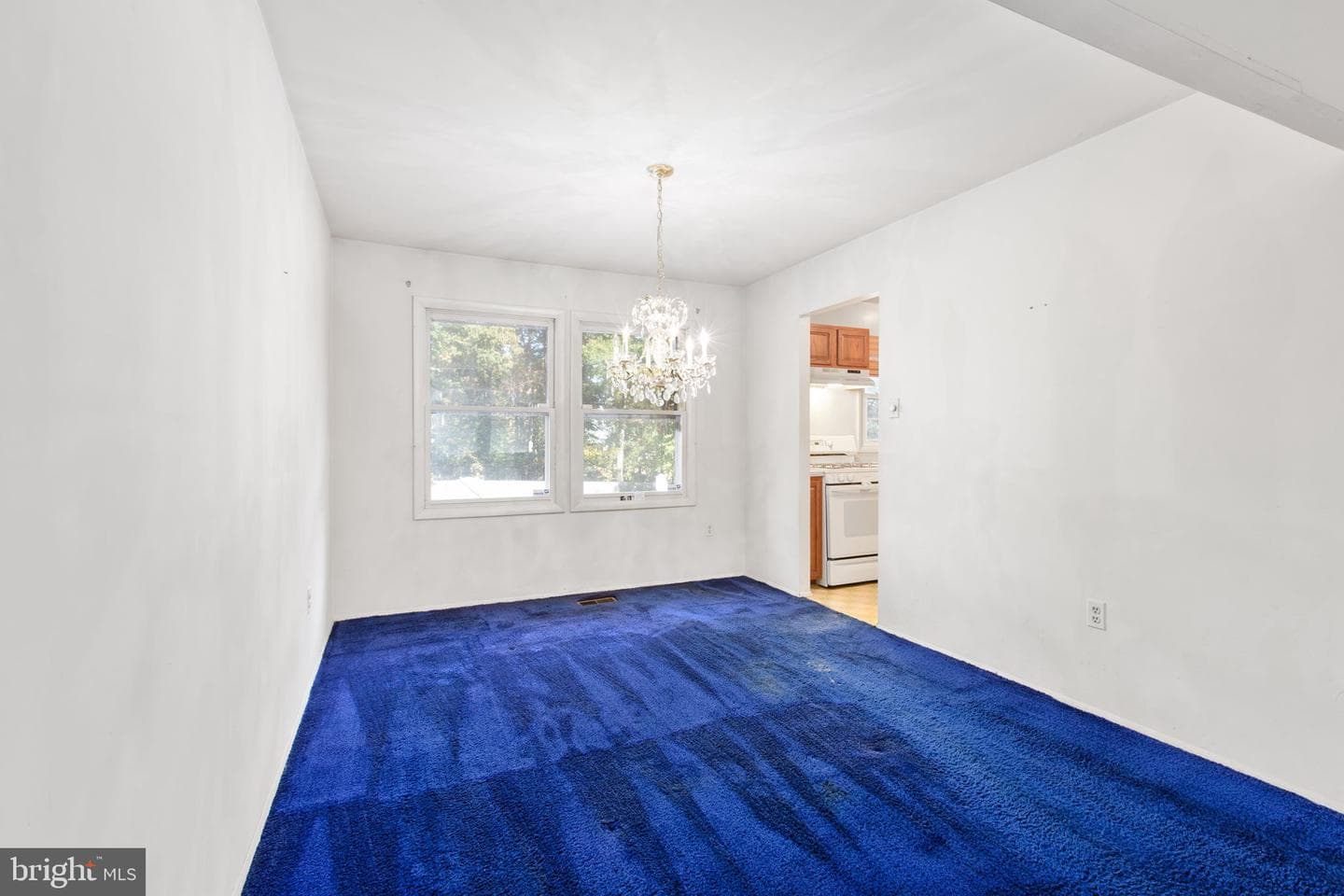 3517 Waverly Drive photo 14