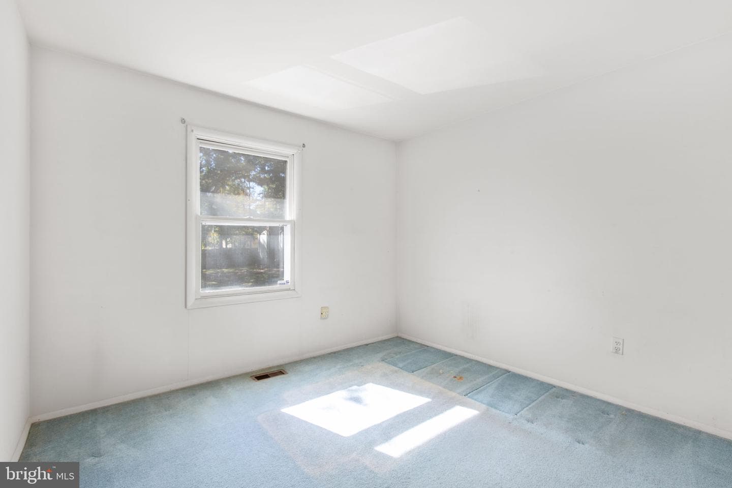 3517 Waverly Drive photo 20
