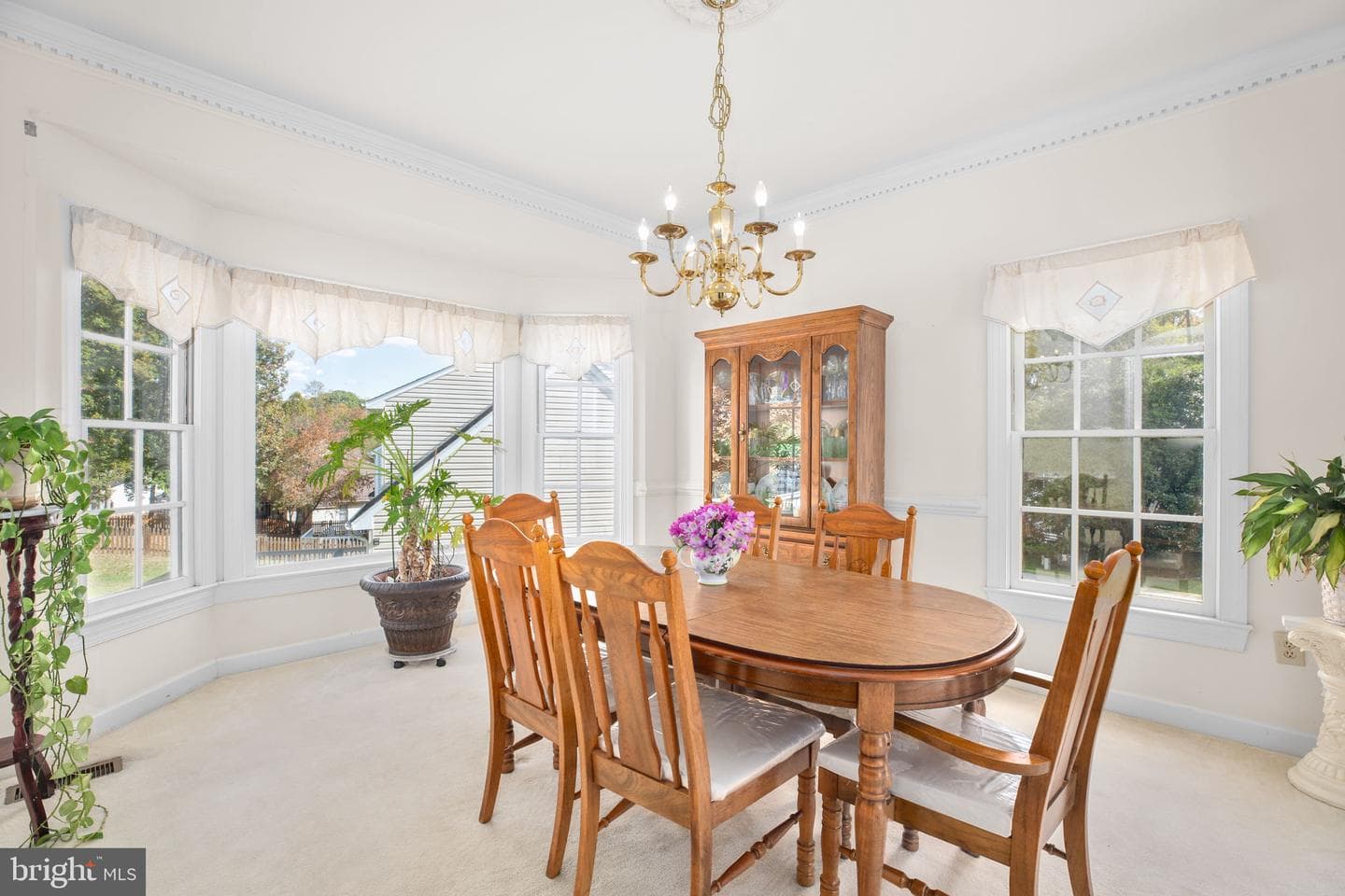 11801 Gardenia Drive photo 11