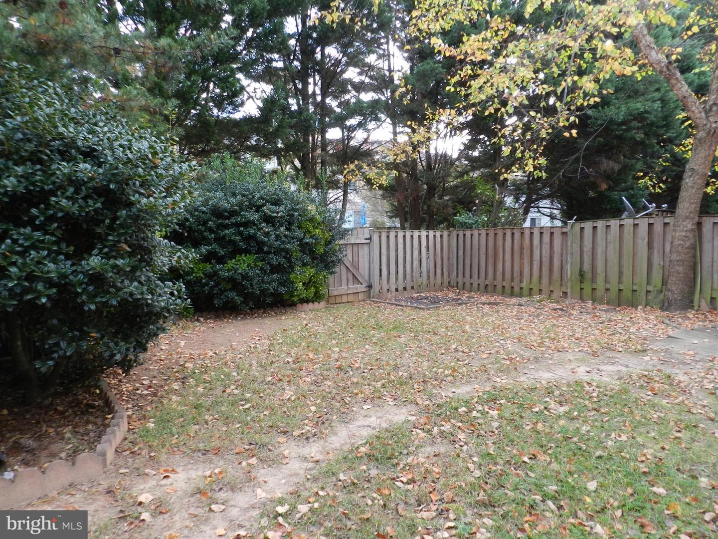 10727 Gideon Court photo 30