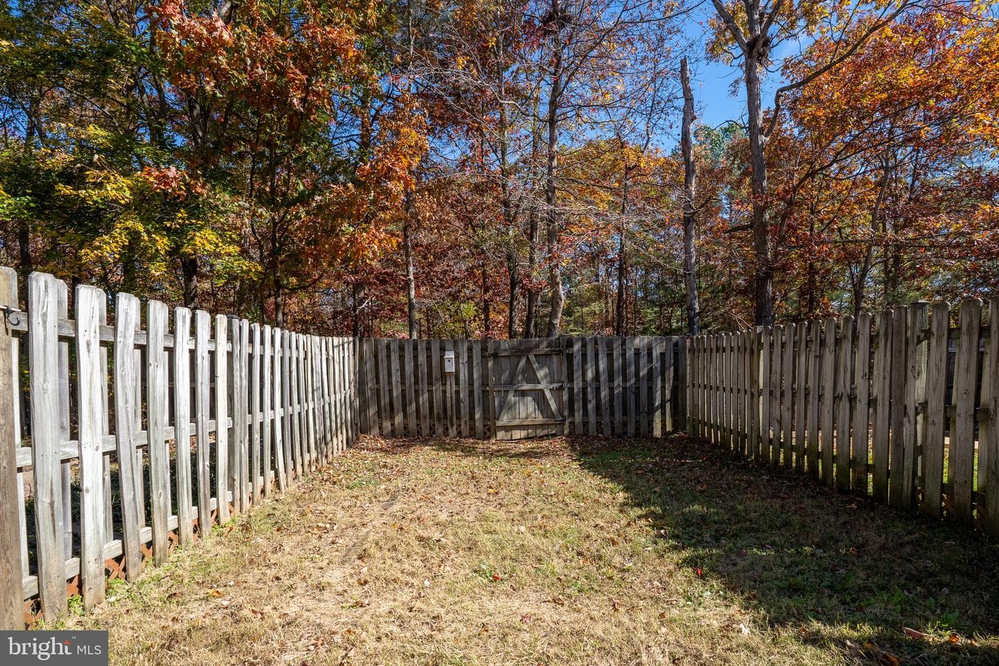 11209 Kings Crest Court photo 44