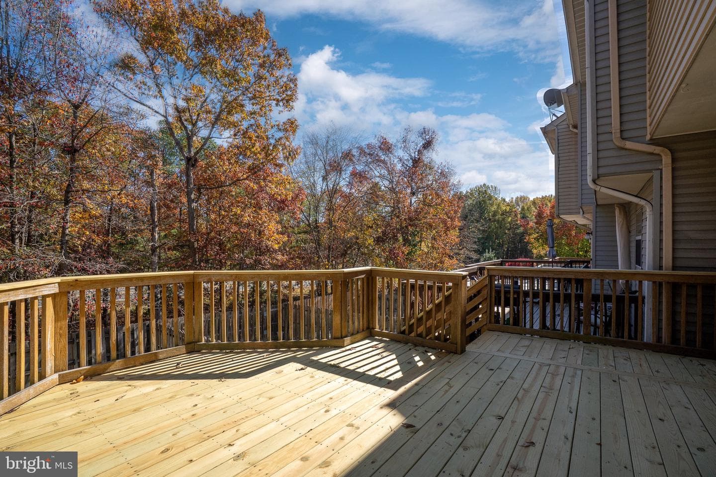 11209 Kings Crest Court photo 49
