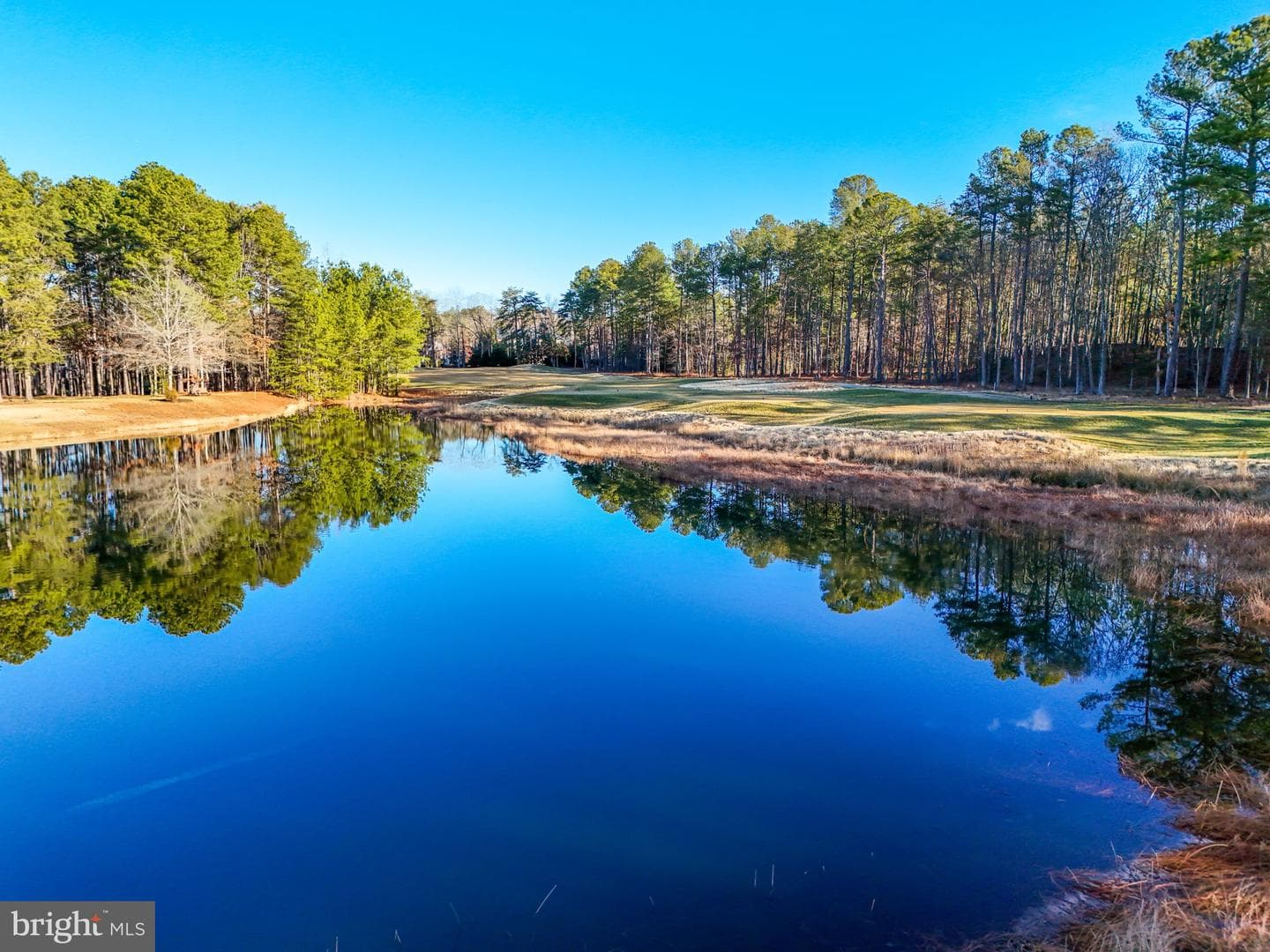 11502 Meade Pointe photo 43