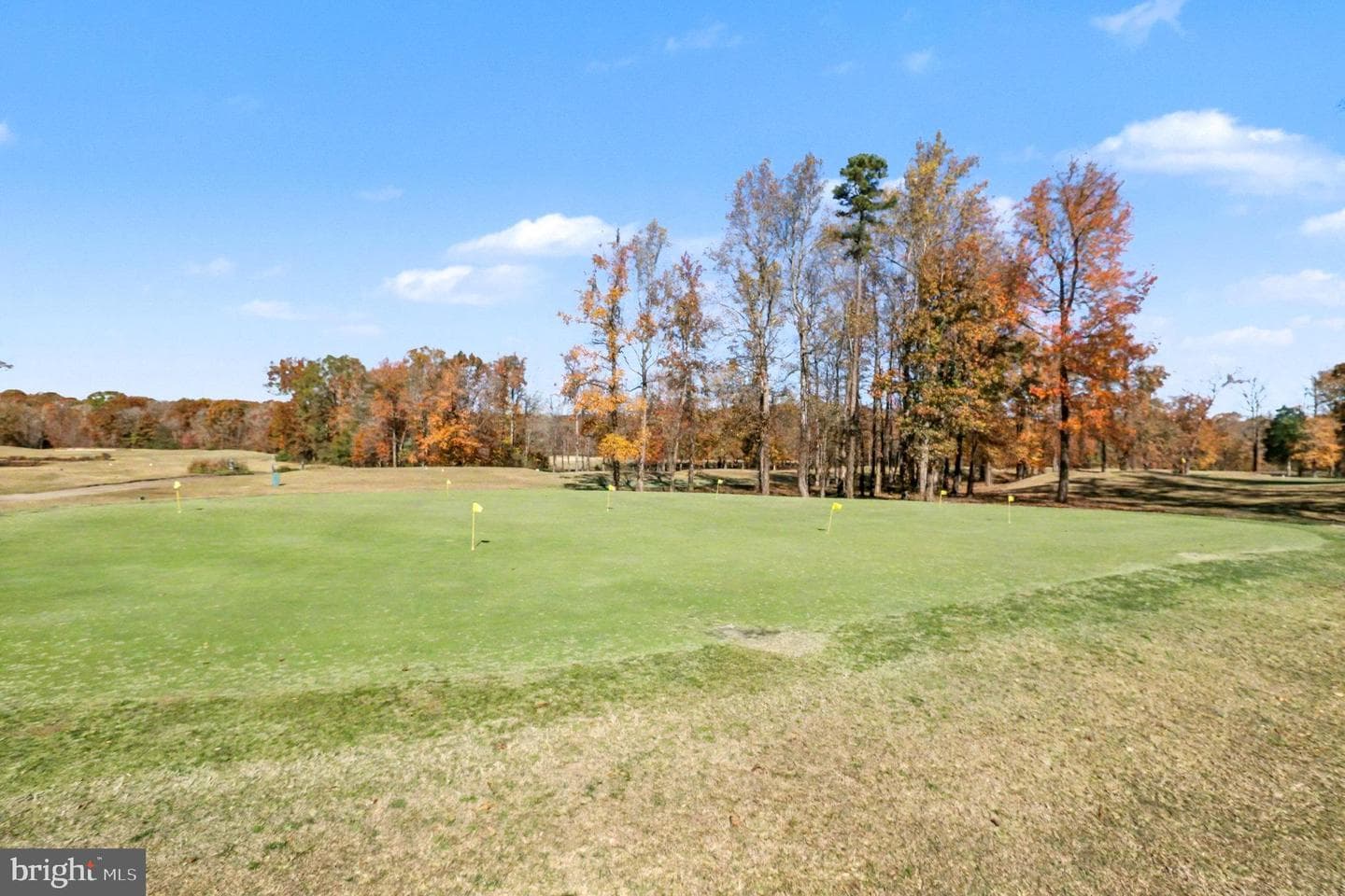 4402 Cider Barrel Court photo 46