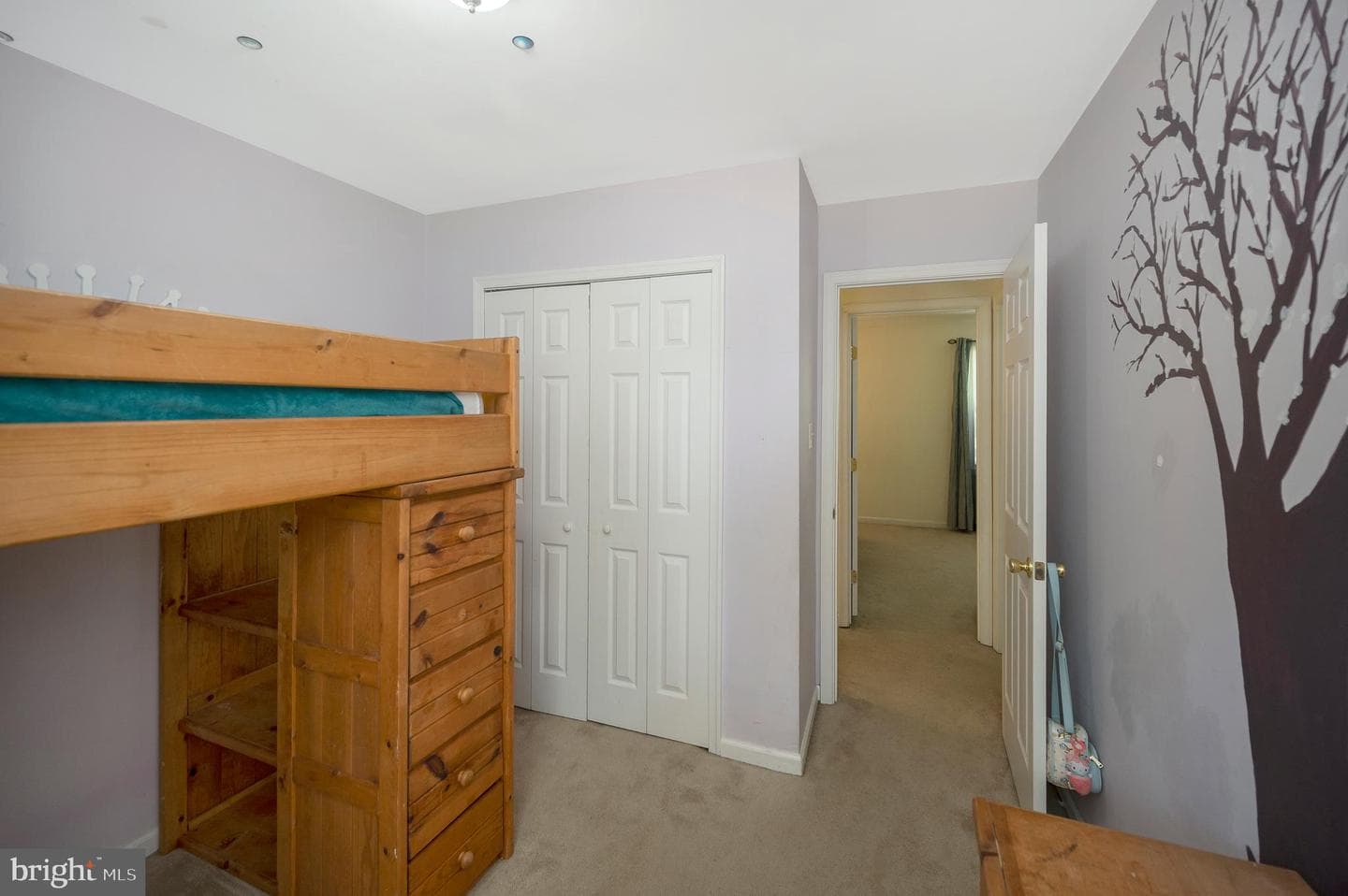 26 Teton Drive photo 26