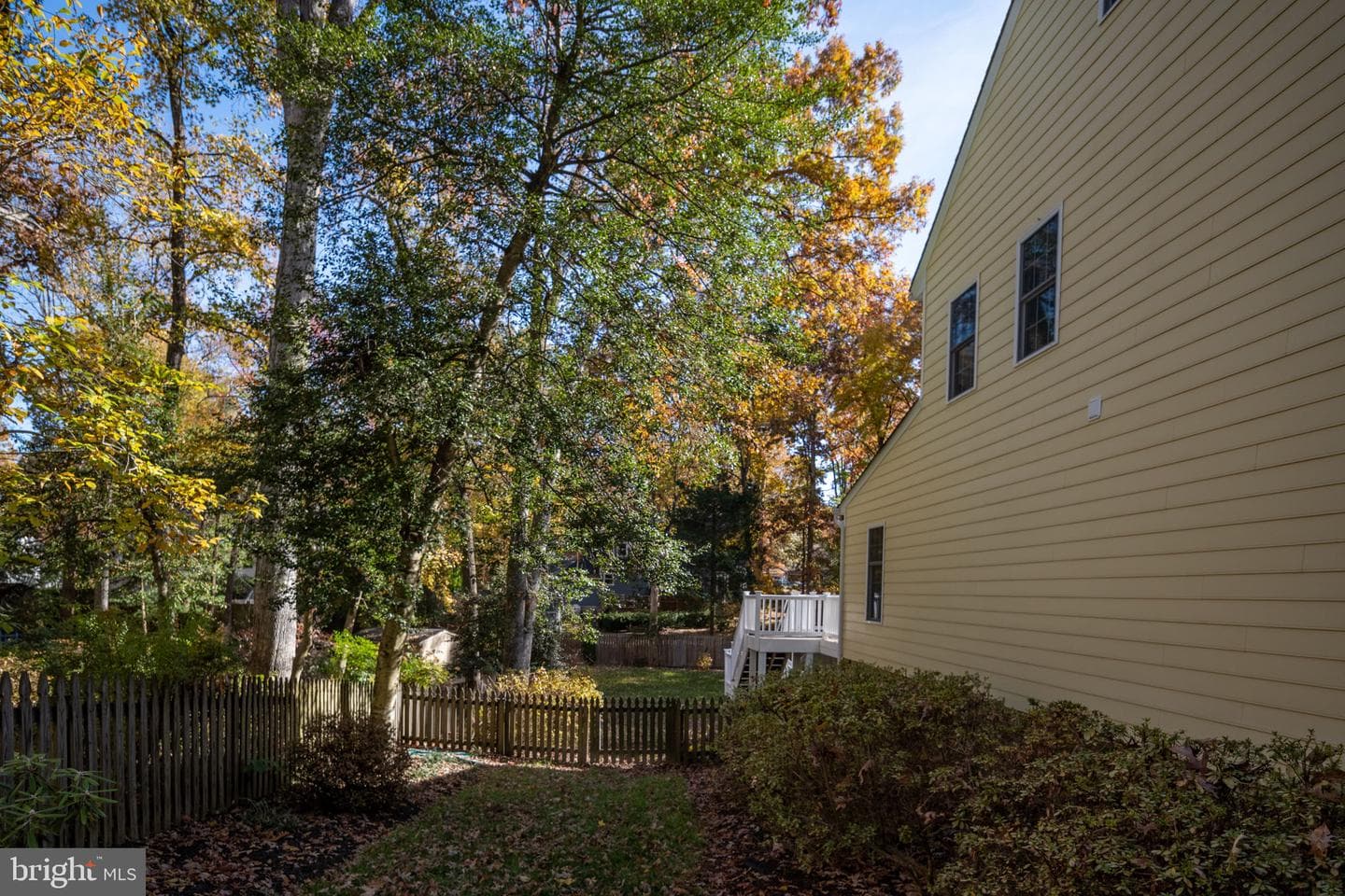 404 Whitecliff Drive photo 68