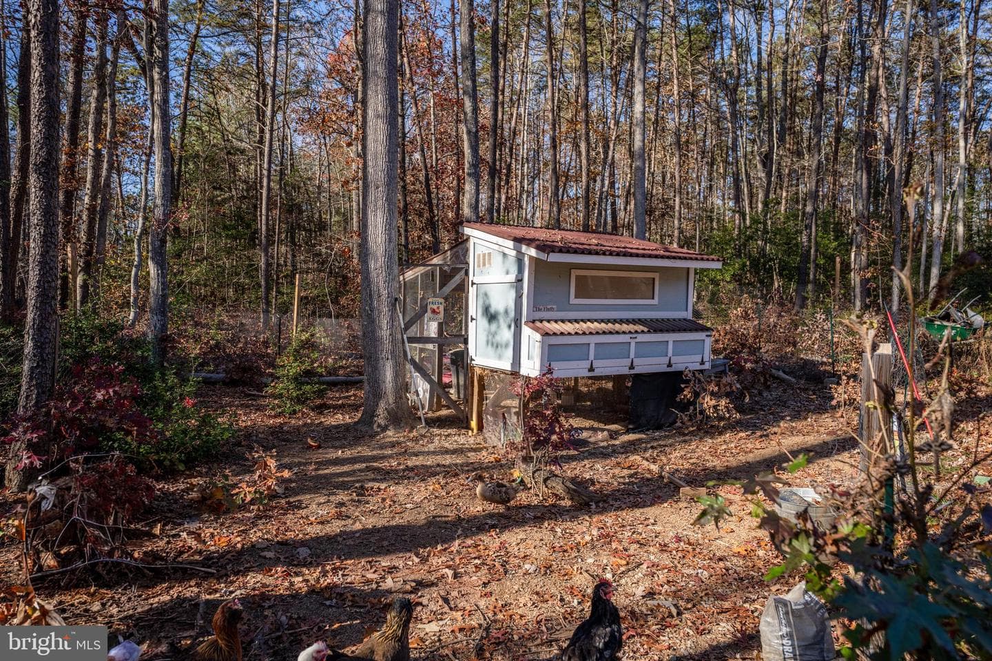 5902 Towles Mill Road photo 8