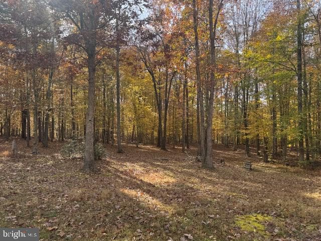 9306 Rapidan Drive photo 4