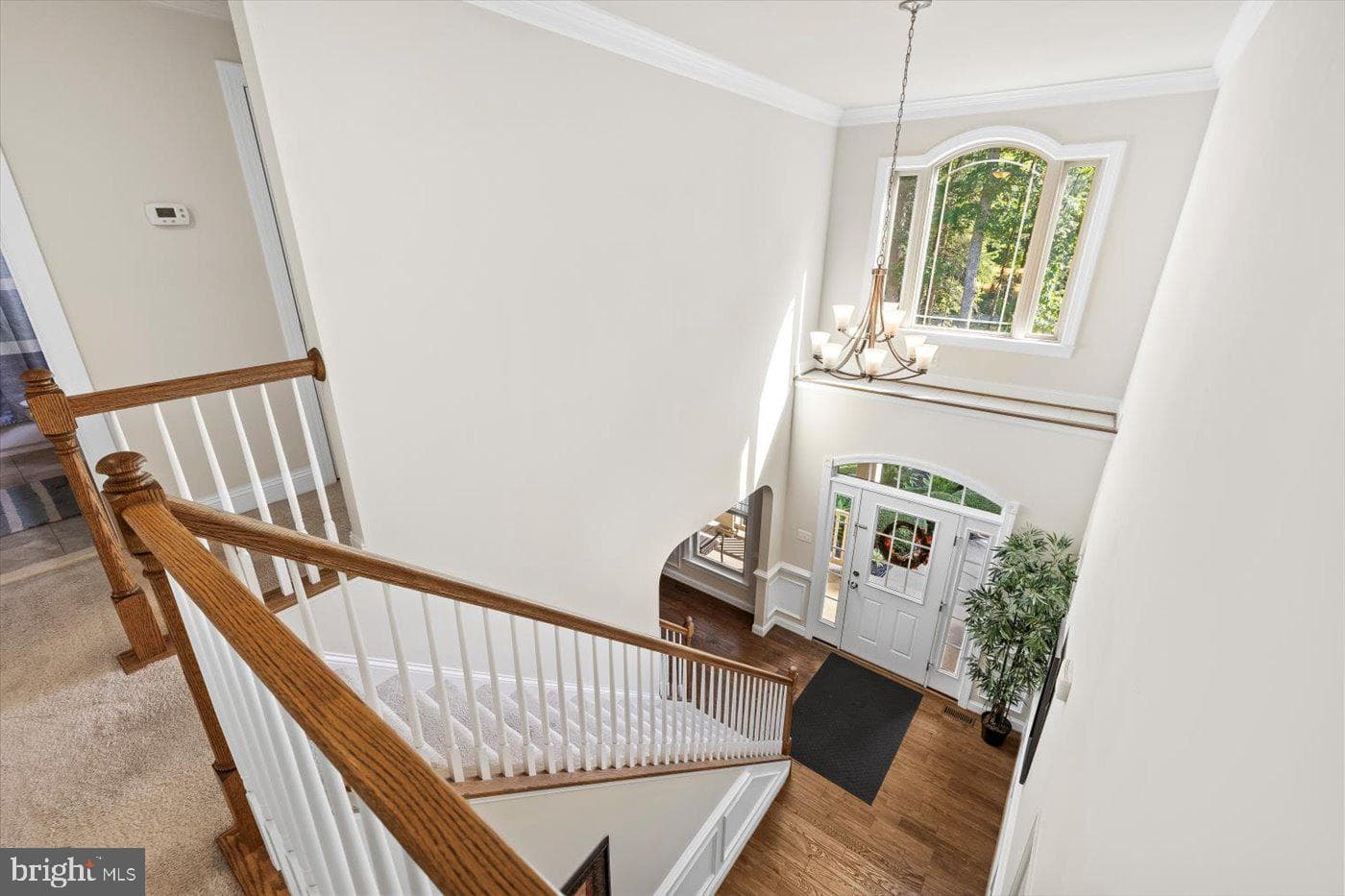 10747 Bridlerein Court photo 18
