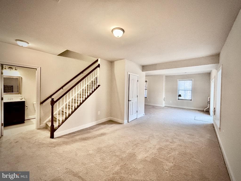 10747 Bridlerein Court photo 33