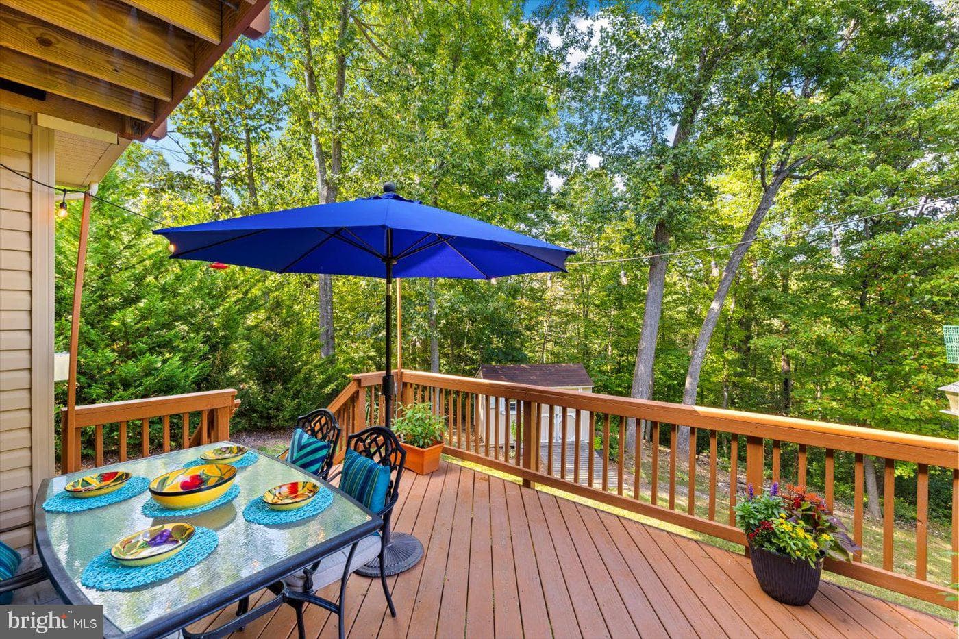 10747 Bridlerein Court photo 38