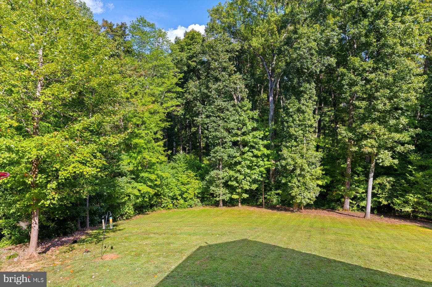 10747 Bridlerein Court photo 45