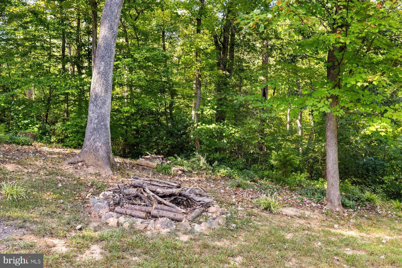 10747 Bridlerein Court photo 46