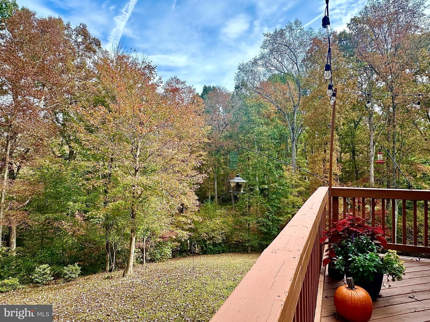 10747 Bridlerein Court photo 58