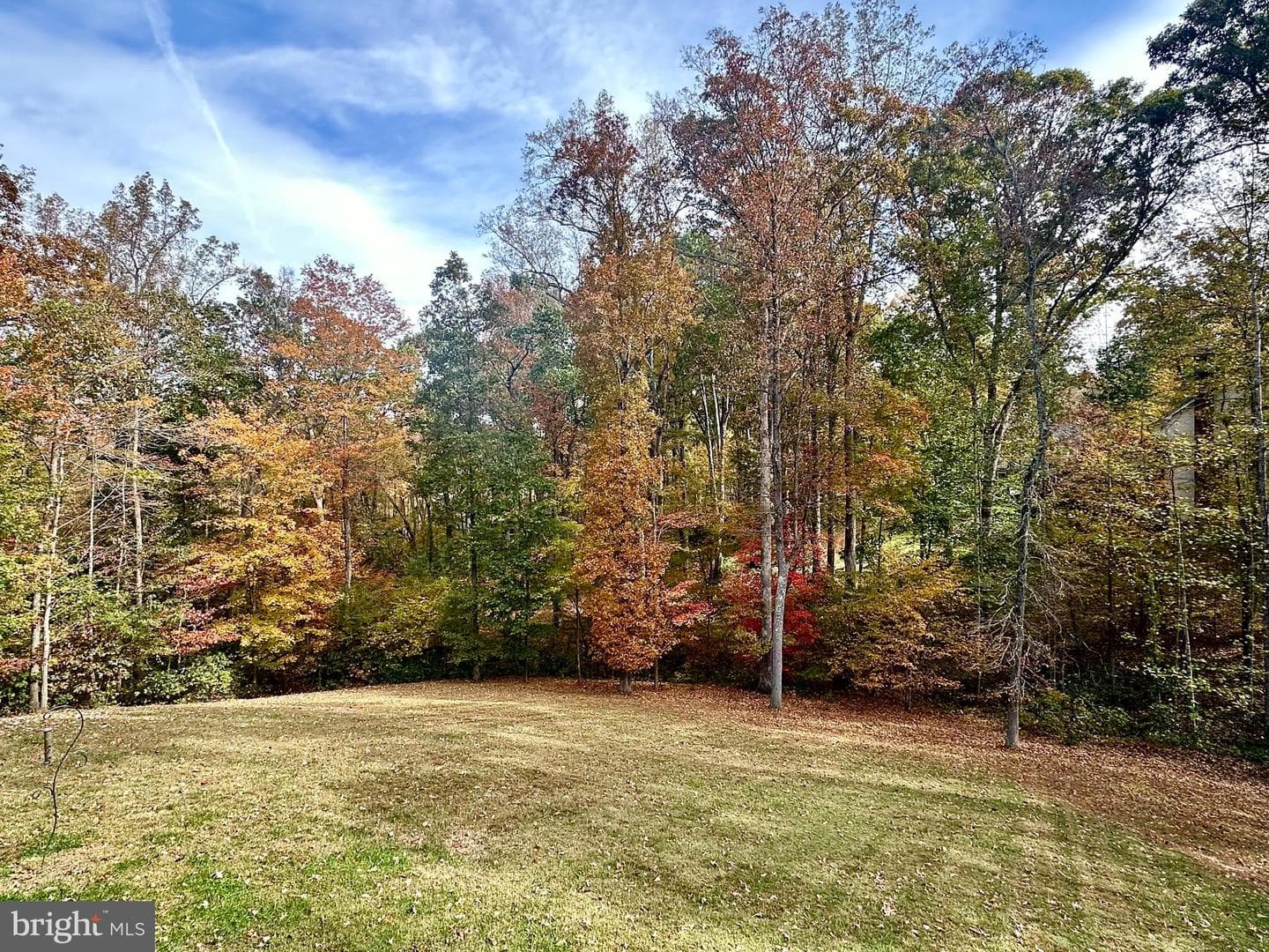 10747 Bridlerein Court photo 59