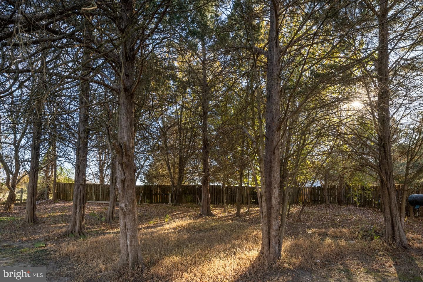 7508 Daughtry Drive photo 41