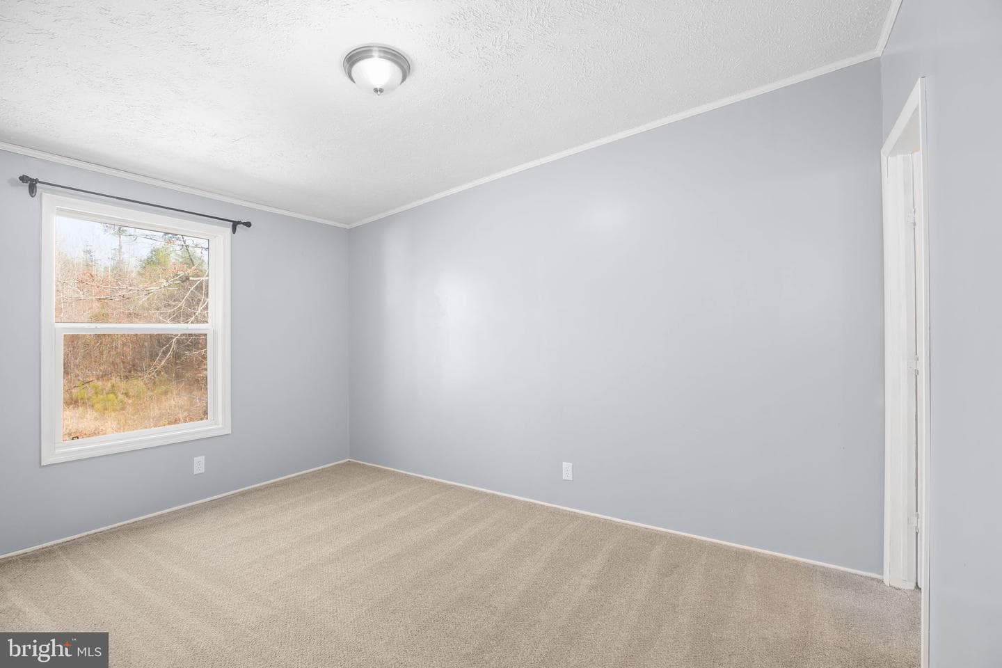 10000 Hummingbird Lane photo 14
