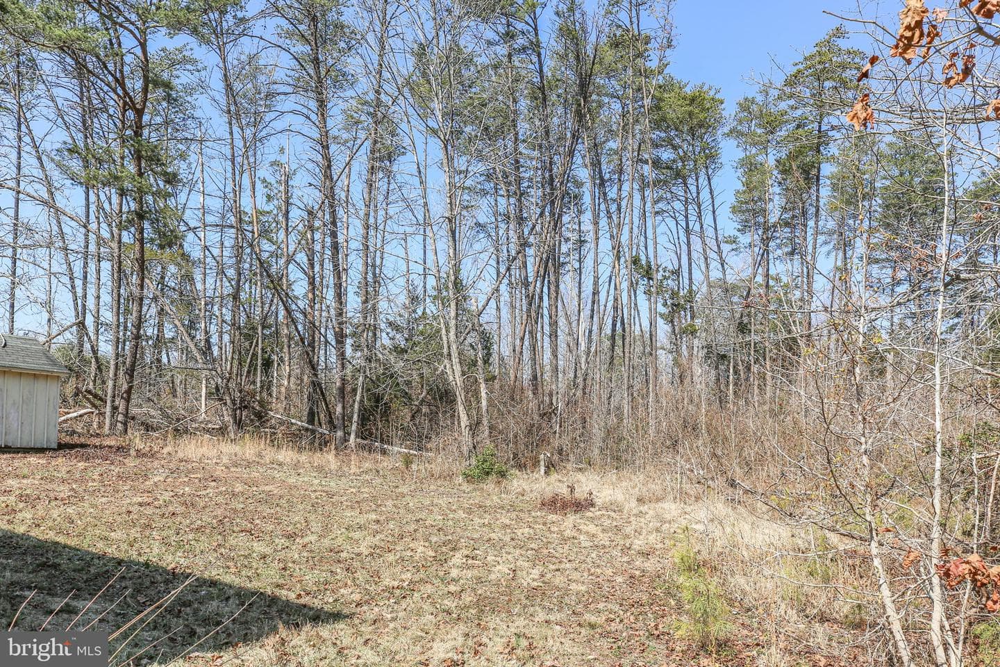 10000 Hummingbird Lane photo 31