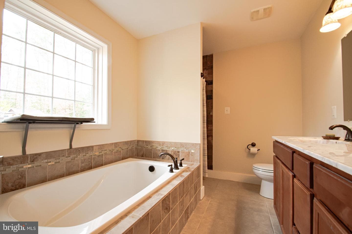 13403 Alva Brooks Lane photo 24