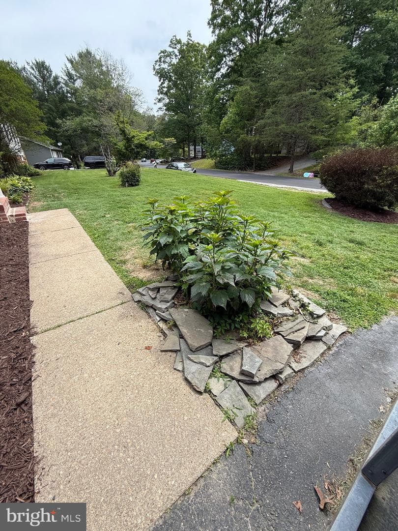 129 Durham Drive photo 17