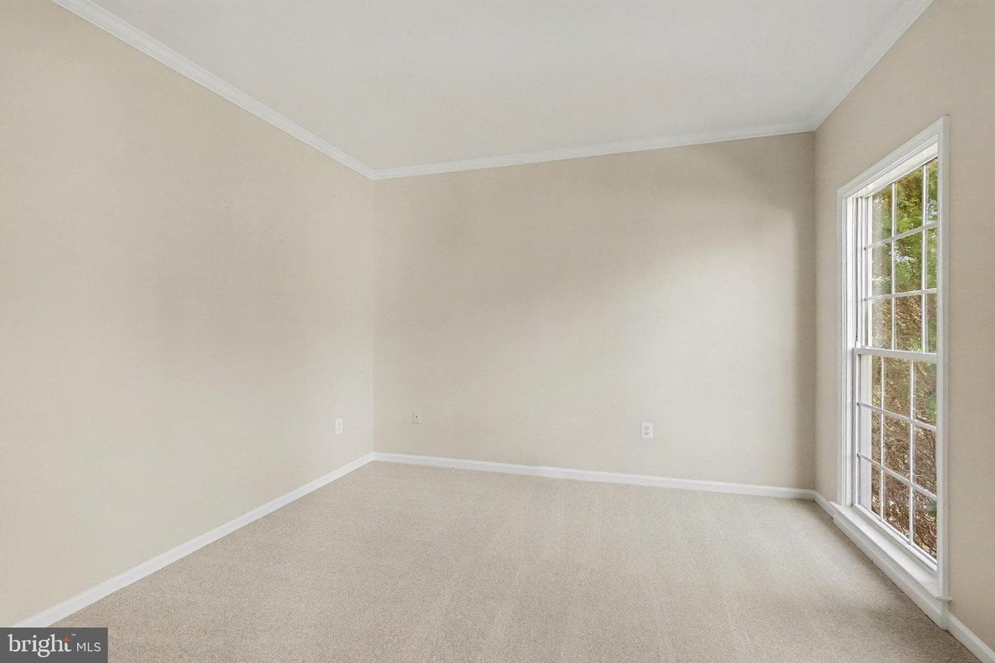 10301 Lees Crossing Lane photo 24