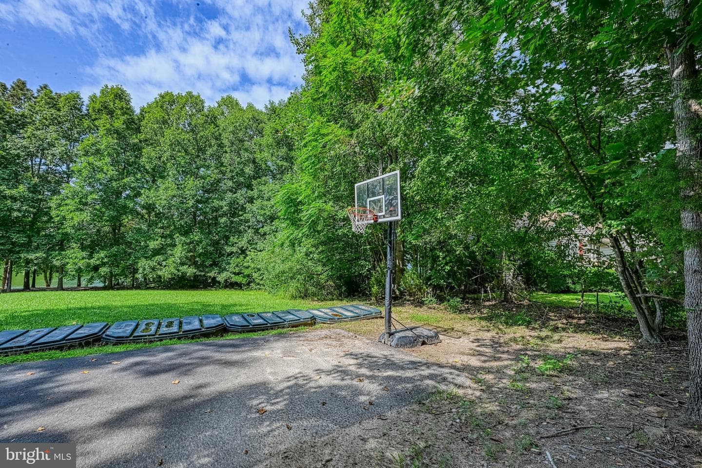 5500 Dogwood Tree Lane photo 49