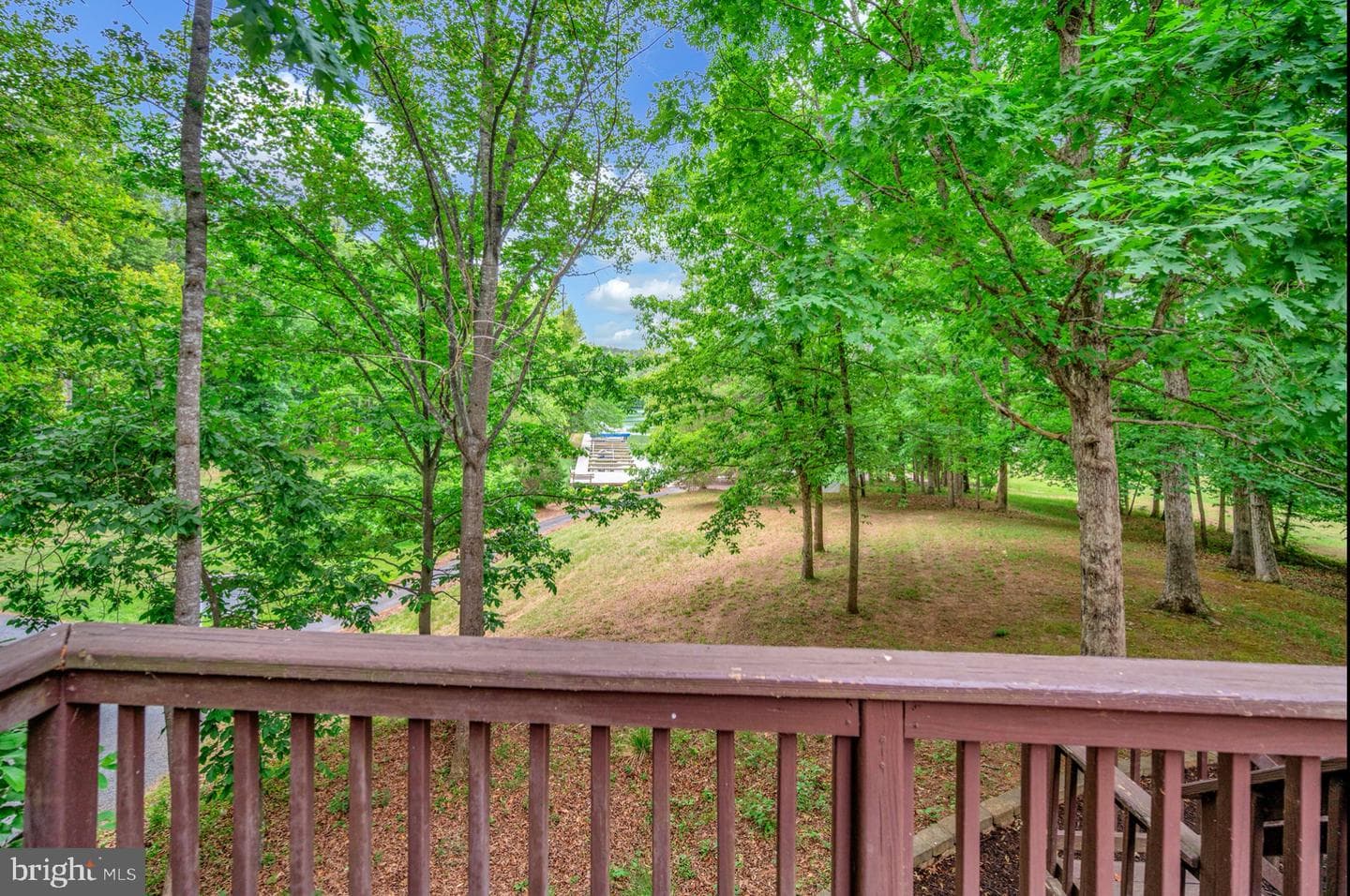 5501 Hickory Tree Lane photo 47
