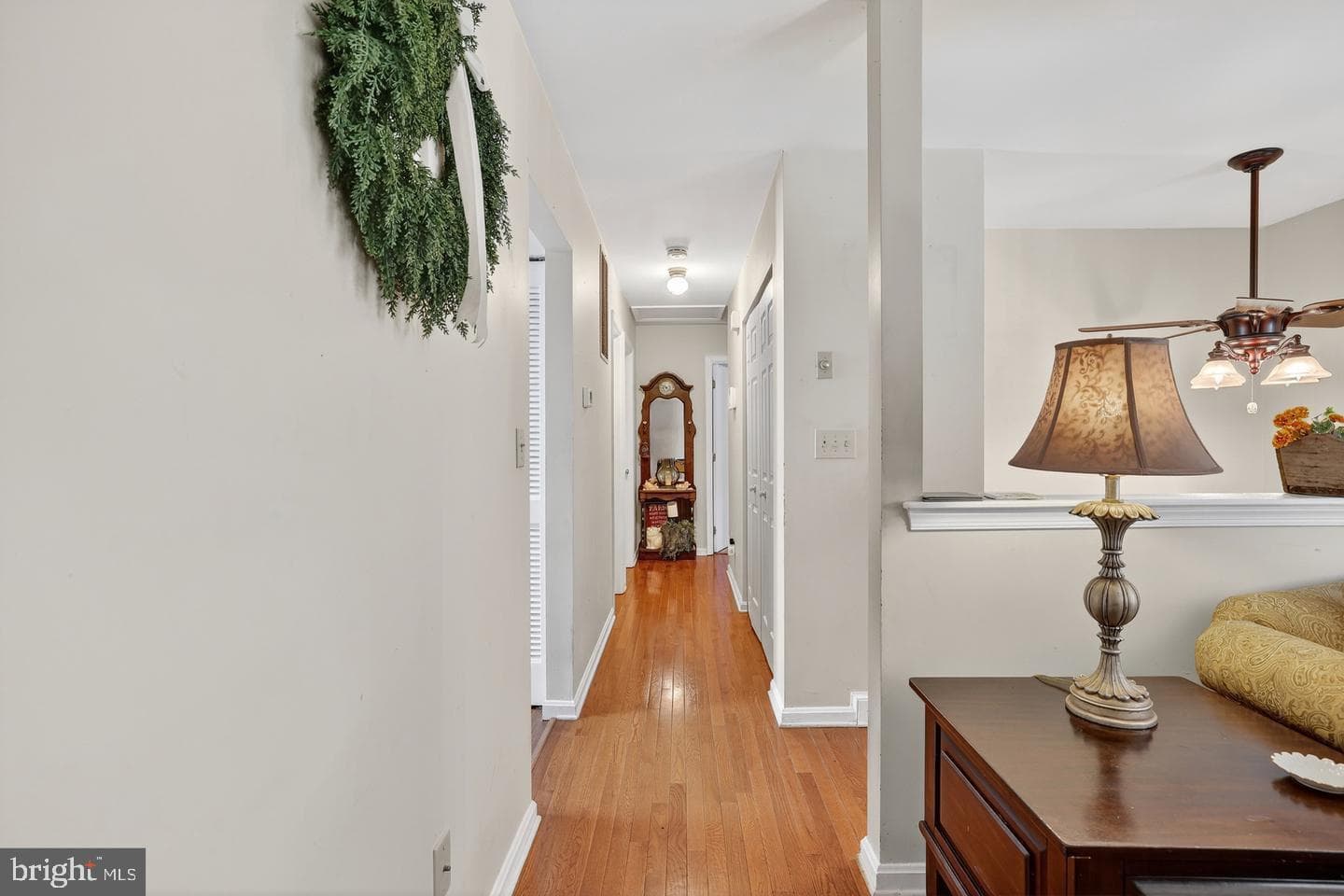 410 Albany Street photo 10