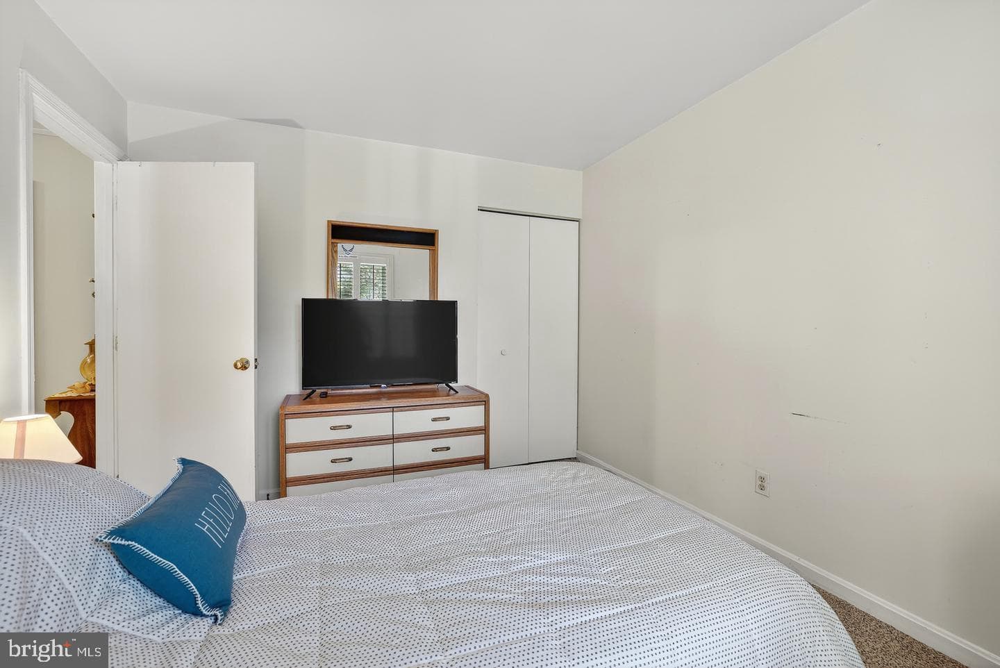 410 Albany Street photo 15