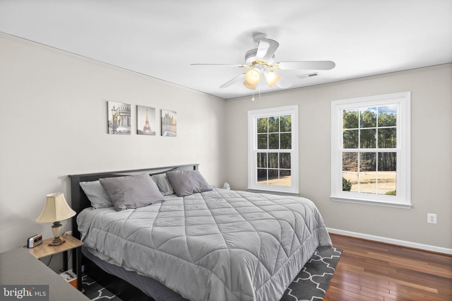 10041 Tarrington Way photo 51