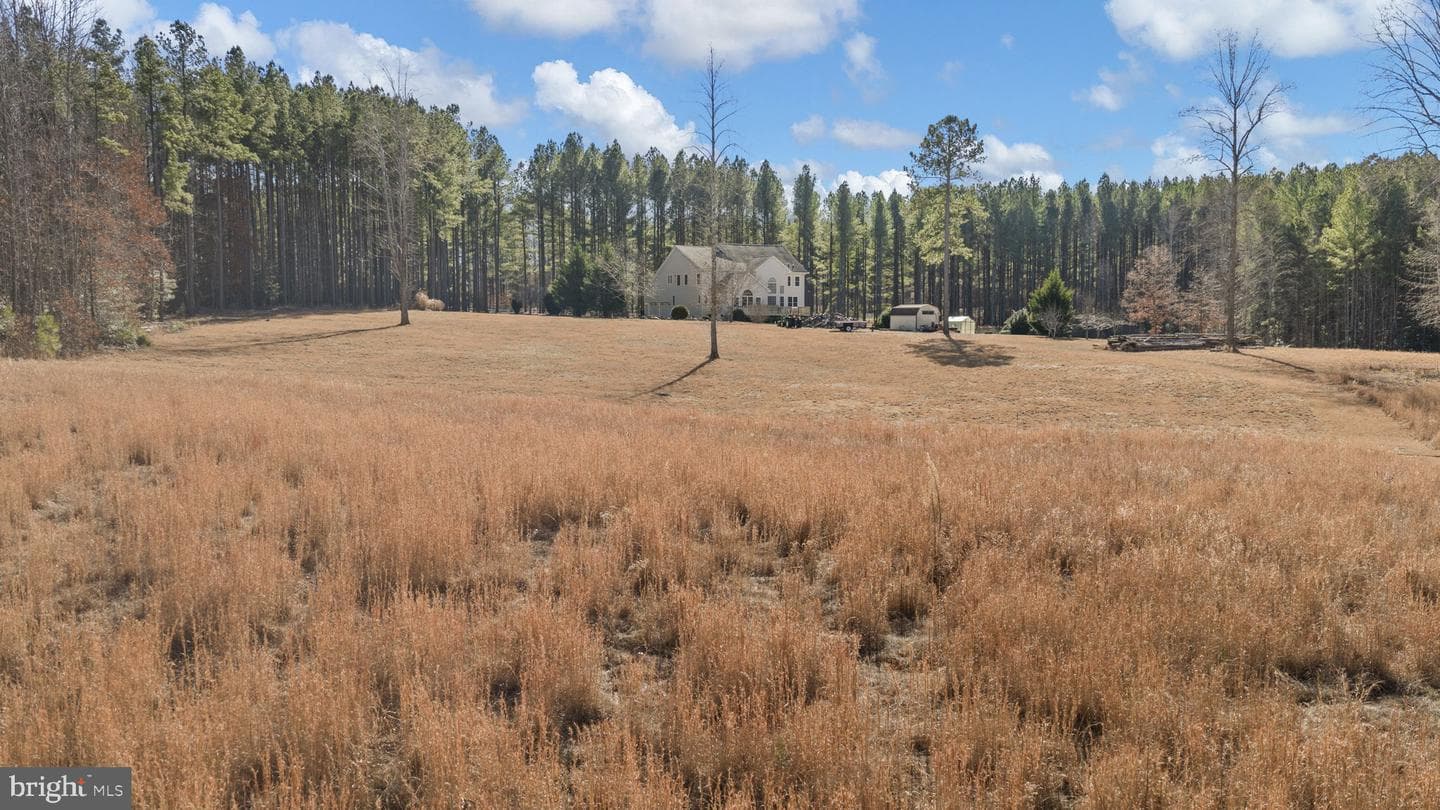 10041 Tarrington Way photo 75