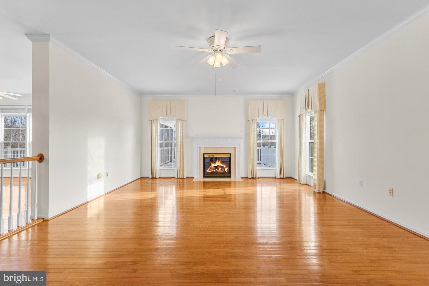 3634 Carolina Court photo 14