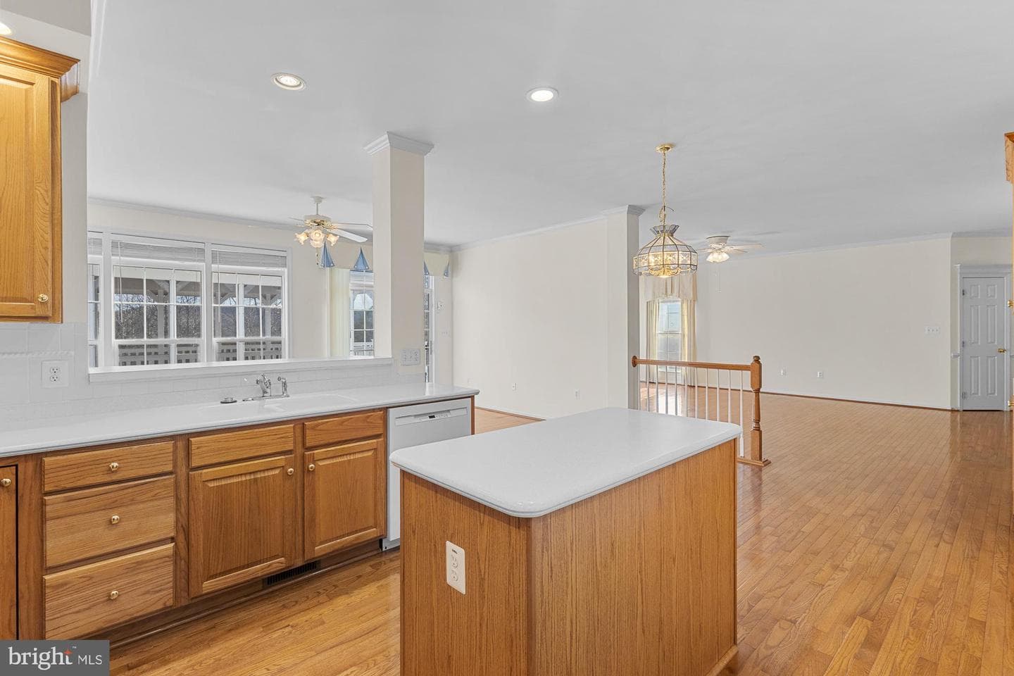3634 Carolina Court photo 19