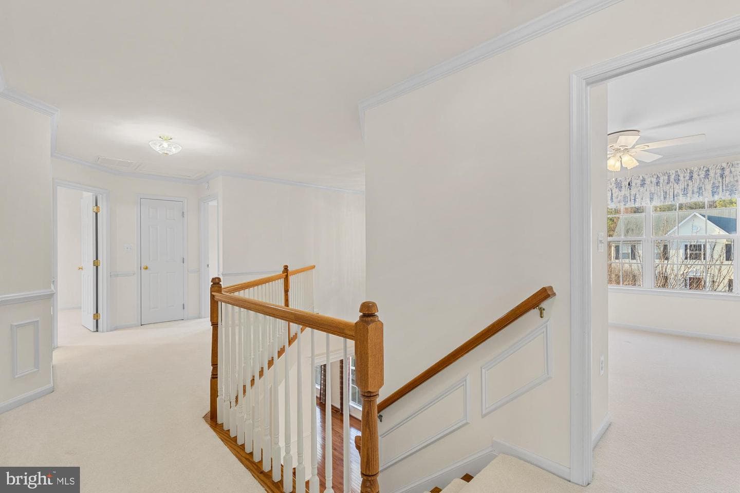 3634 Carolina Court photo 27