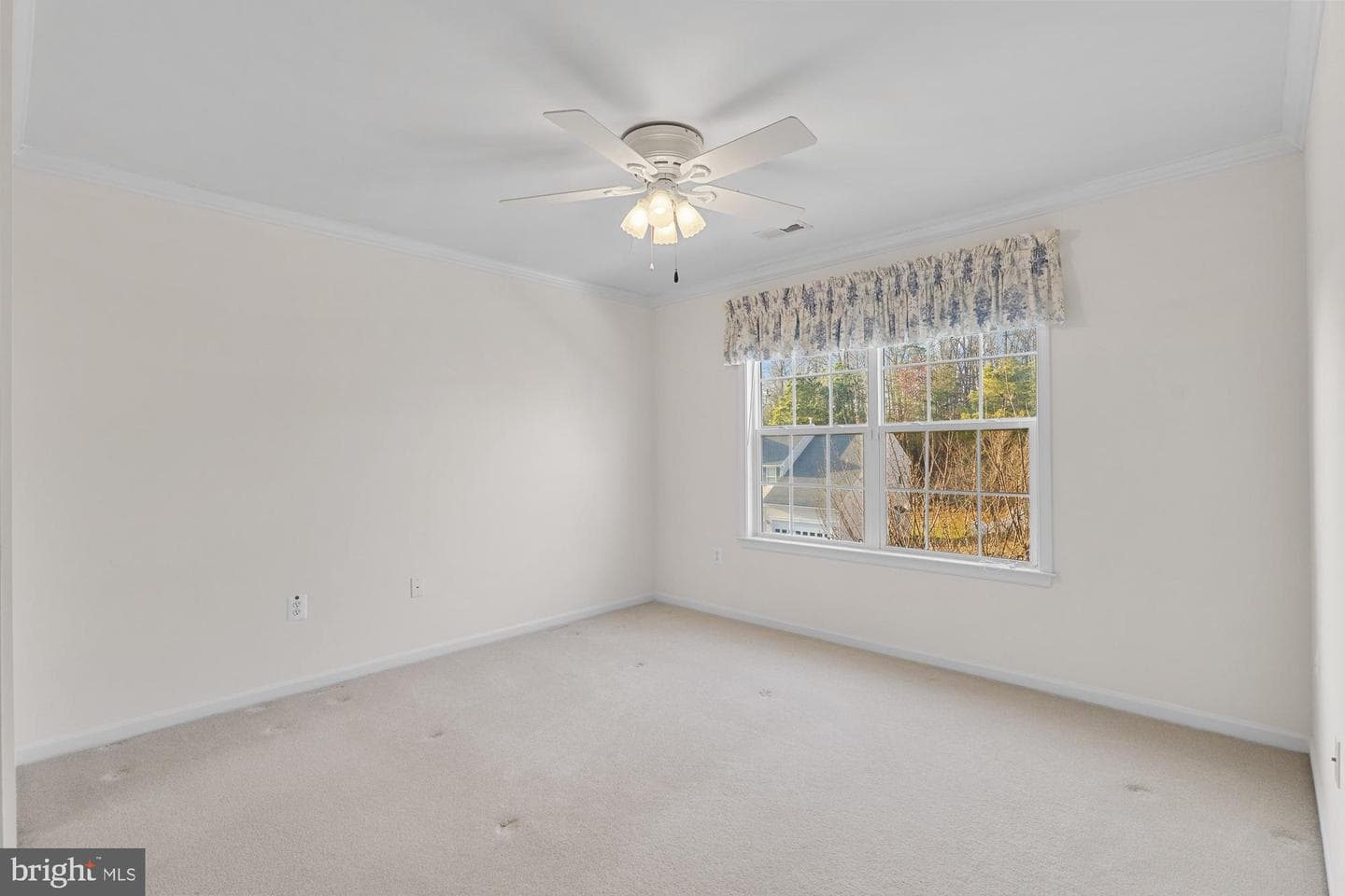 3634 Carolina Court photo 35