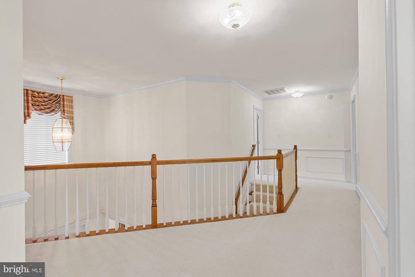 3634 Carolina Court photo 43