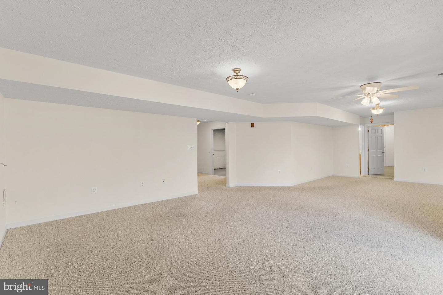 3634 Carolina Court photo 46
