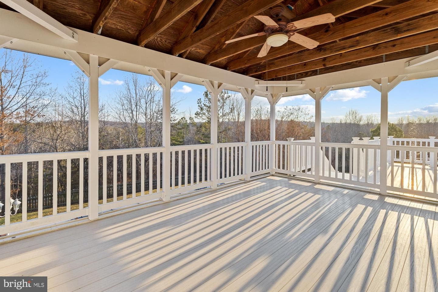 3634 Carolina Court photo 50