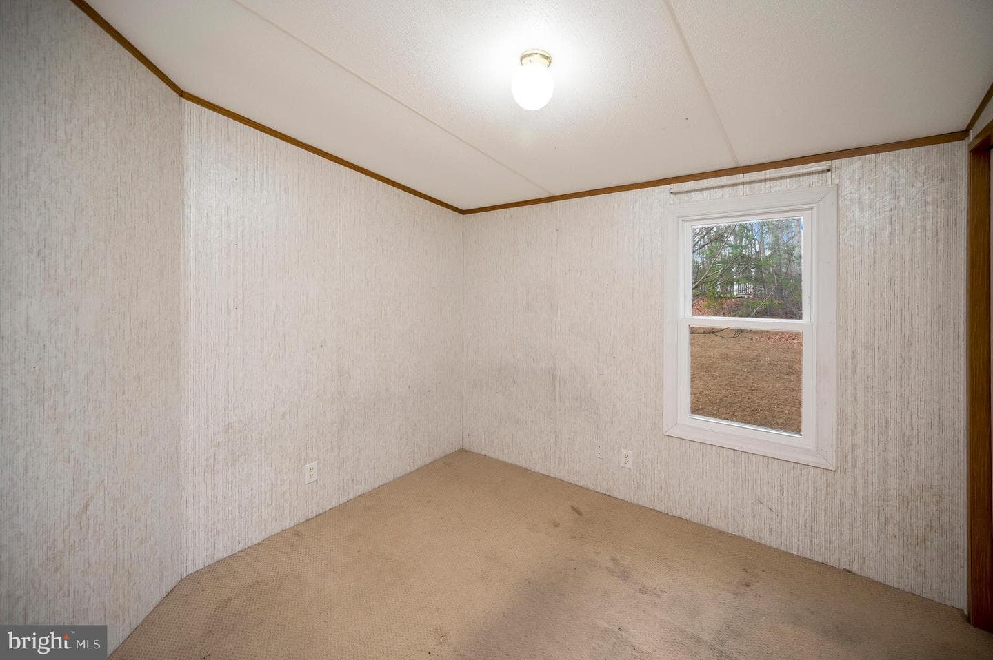 12619 Orange Plank Road photo 40