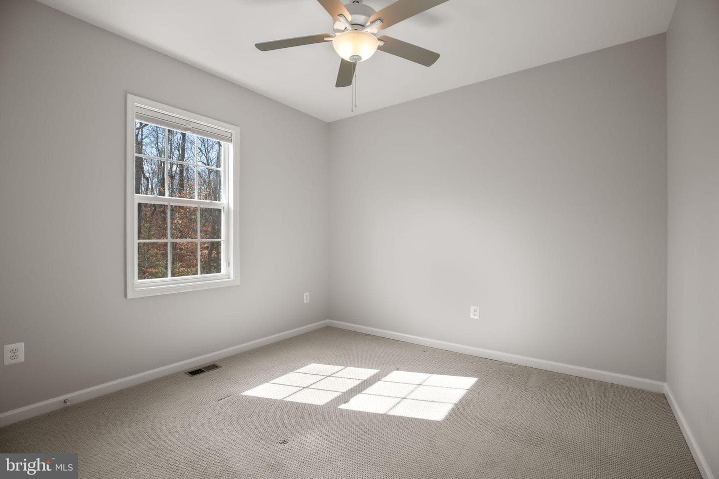 8005 Ashford Drive photo 43