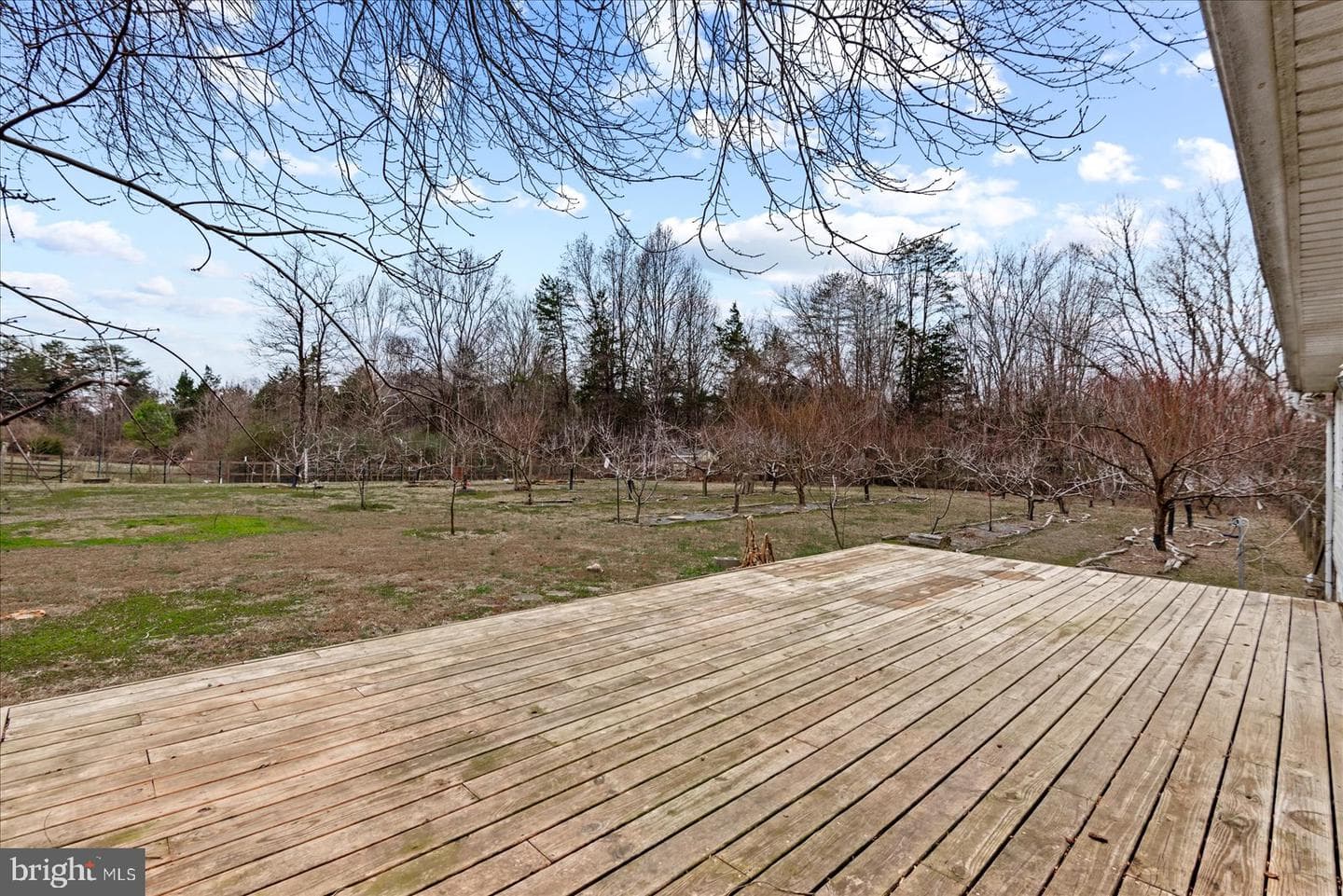 312 Timber Trail photo 13
