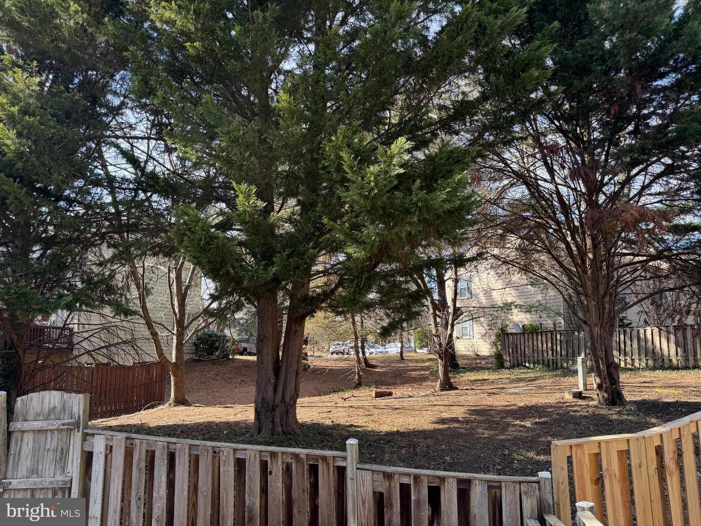 10728 Brice Court photo 49