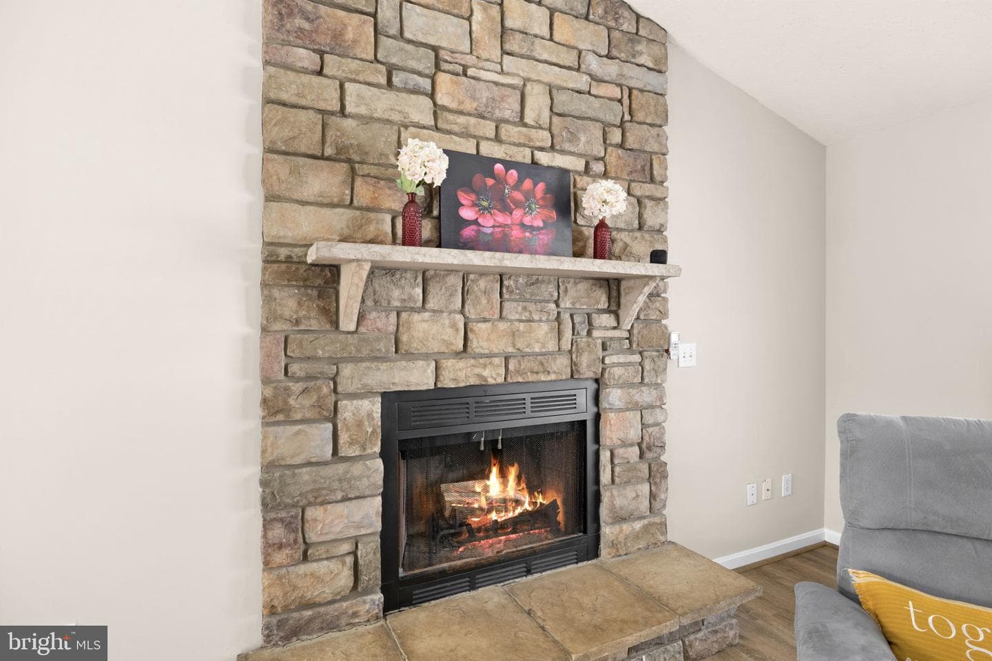 10733 Allie Drive photo 18